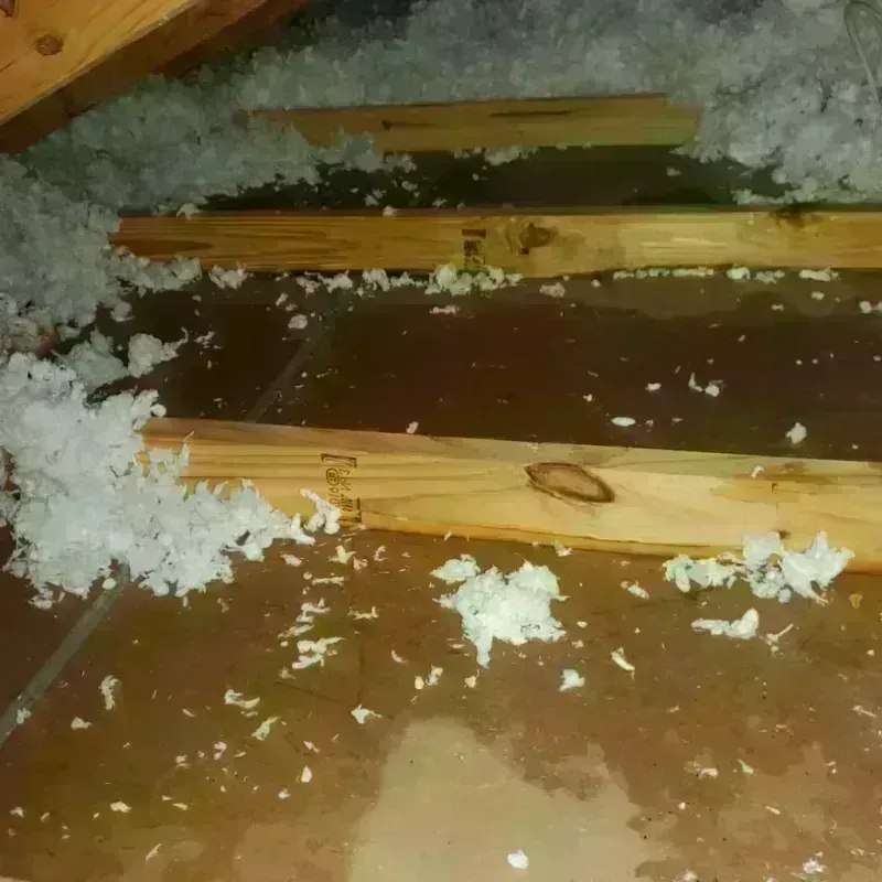 Attic Water Damage in Lucerne Valley, CA